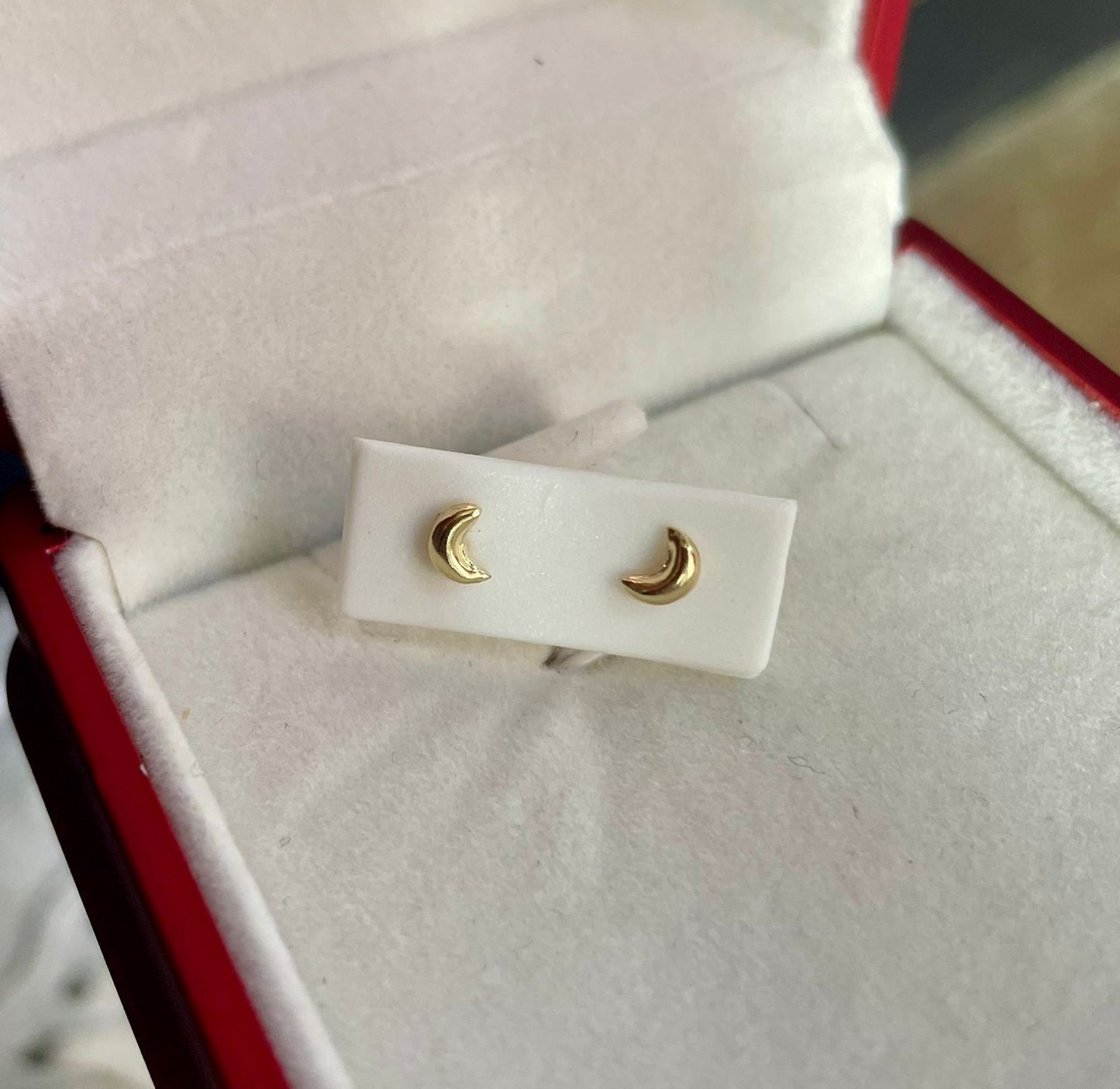 TOPO LUNA ROSCA DE SEG.