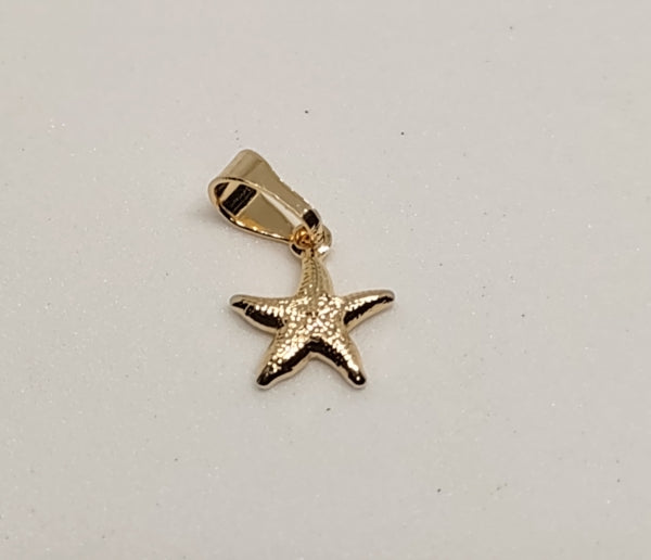 DIJE ESTRELLA DE MAR